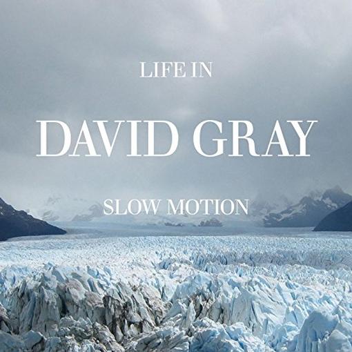 David Gray Life in Slow Motion CD jewel case front cover showing artist name and album title